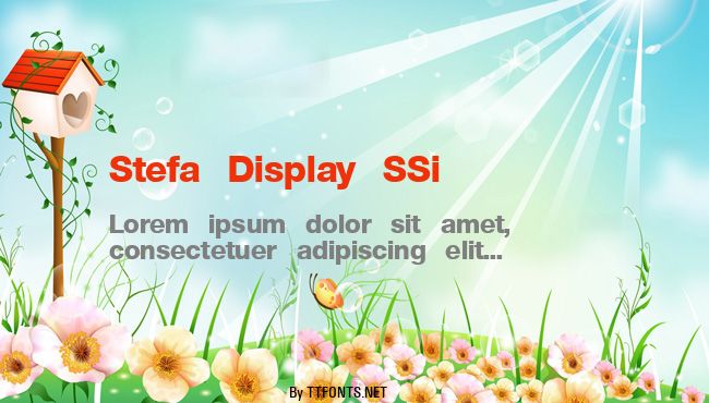 Stefa Display SSi example